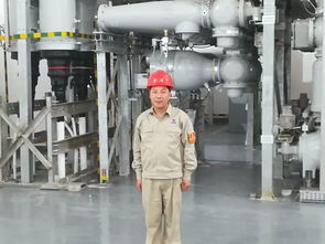 典型丨平海灣二期項目首臺風(fēng)機并網(wǎng) 建設(shè)功臣 和 先進(jìn)工作者 事跡展播之三